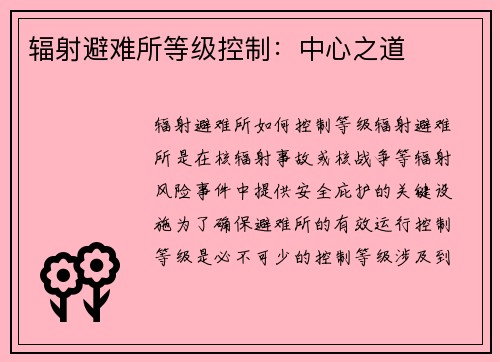 辐射避难所等级控制：中心之道
